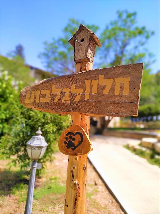 חלון לגלבוע צימר בוטיק בעמק המעיינות Bet Alfa Экстерьер фото