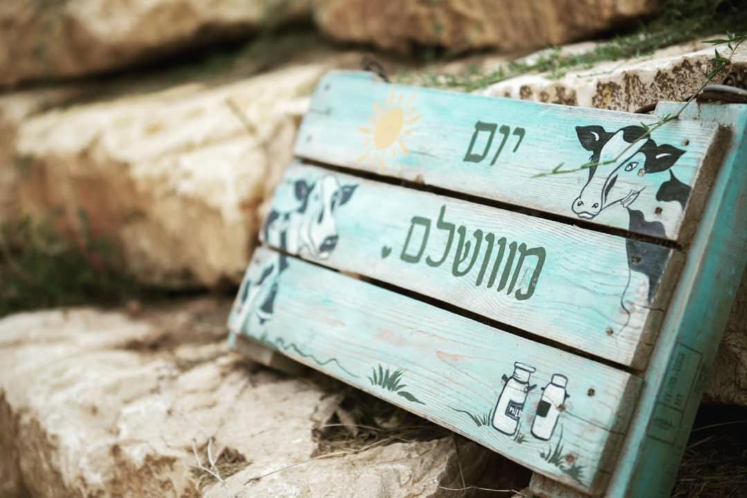 חלון לגלבוע צימר בוטיק בעמק המעיינות Bet Alfa Экстерьер фото